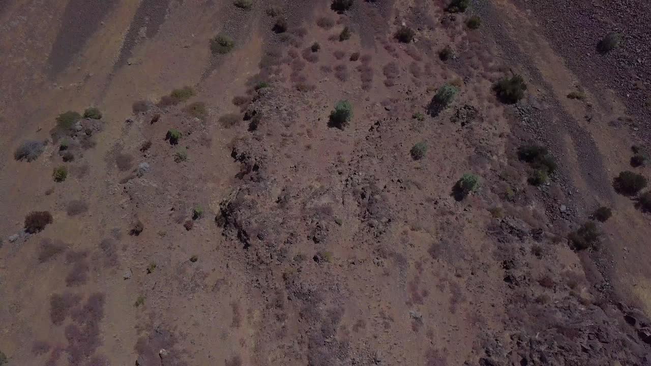 drone volando con vista de arriba hacia abajo sobre el cañón que revela el río en el condado de lassen del norte de california