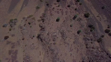 Drone-flying-with-top-down-view-over-canyon-revealing-river-in-Northern-California-Lassen-County