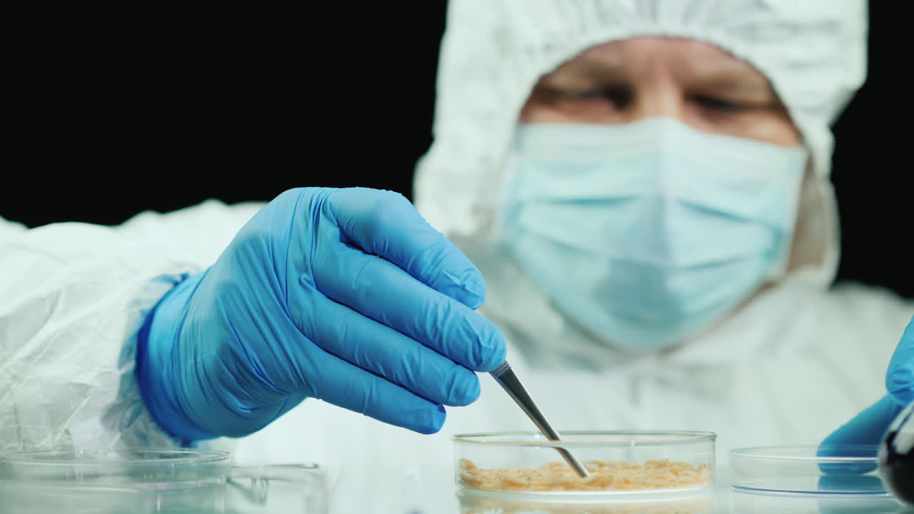 il ricercatore farmacista conduce esperimenti sui vermi