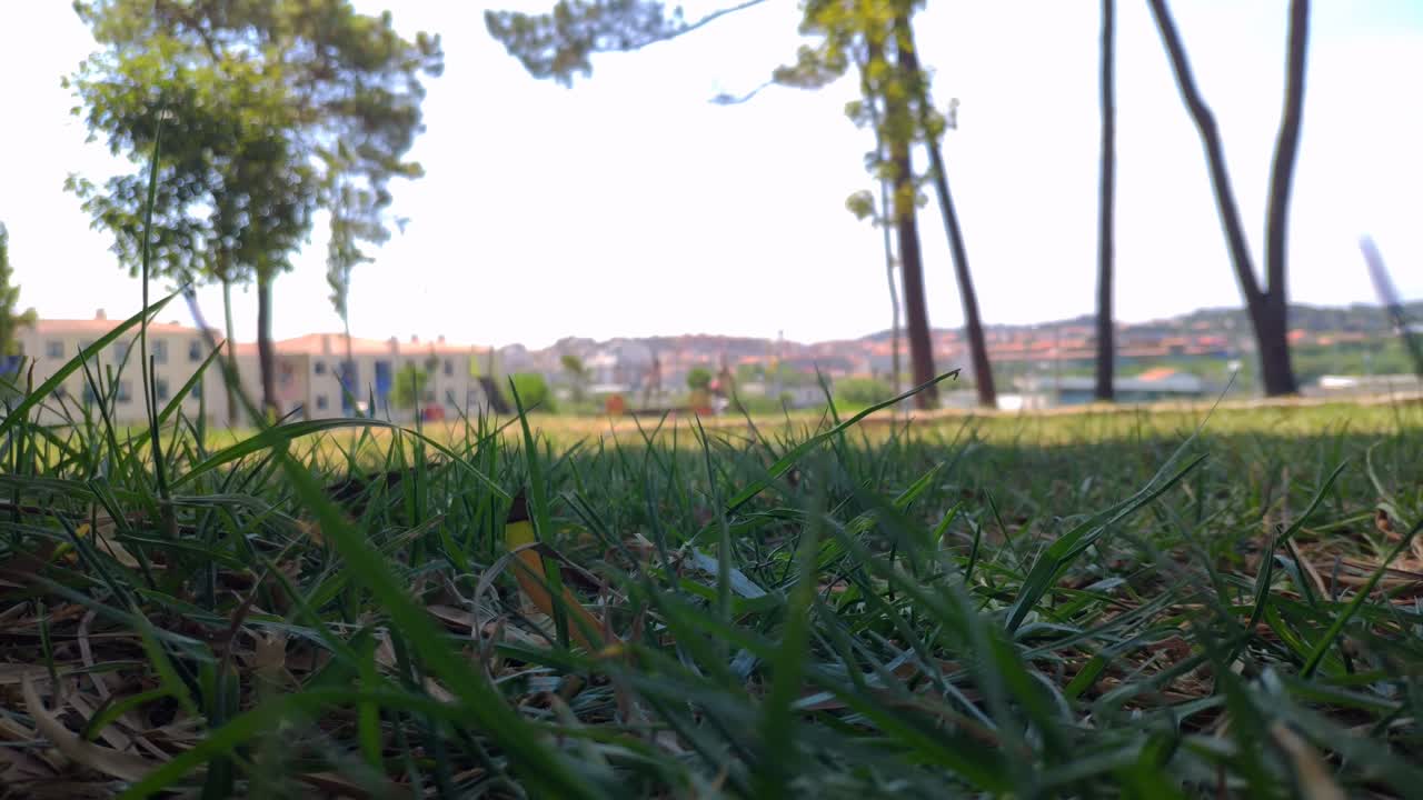 niños con su madre jugando en el parque paisajístico con árboles frente a los edificios residenciales en una tarde soleada, toma panorámica bloqueada, desenfoque
