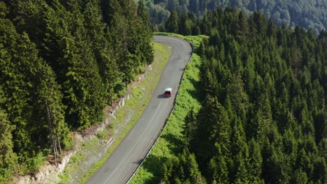 Car-driving-along-a-road-in-a-dense-pine-forest