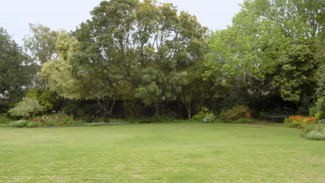 lush green garden with vibrant trees and colorful flower beds in spring, copy space