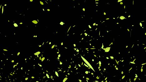 yellow dead leaves, autumn leaves, autumn, particles that emerge, motion graphics