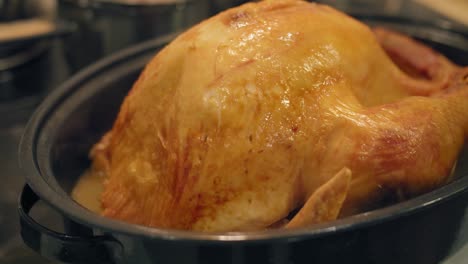 closeup of a delicious cooked thanksgiving turkey after removing it from oven in slow motion 4k