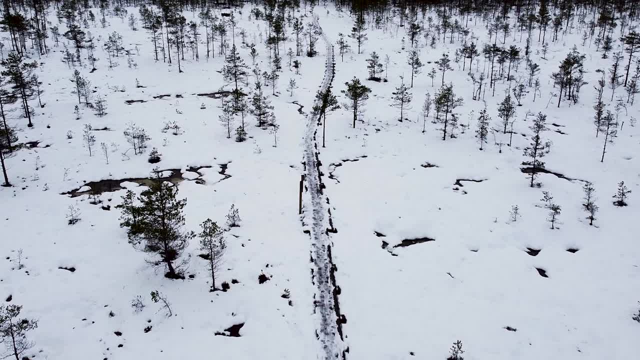 Drone aereo che segue un sentiero escursionistico in legno innevato nella palude di Luhasoo in Estonia d'inverno.