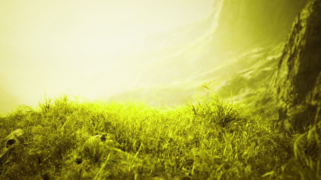 Lush green landscape under bright sunlight in a serene natural setting