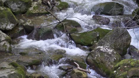 green and wet mossy stones and rocks along mountain river stream in slow motion