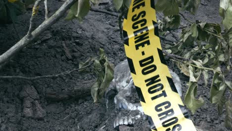 police crime scene tape over macabre human skull discovery in bushes