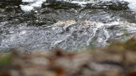 peaceful autumn-winter woodland, a gentle stream flows over rocks, forming small waterfalls