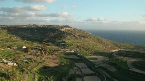 aerial: flying above green farm lands near coastline of malta in winter during golden hour