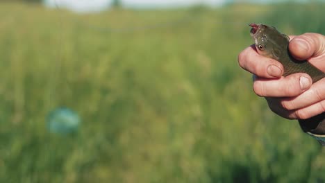 fisherman hands in camouflage clothes take hook out