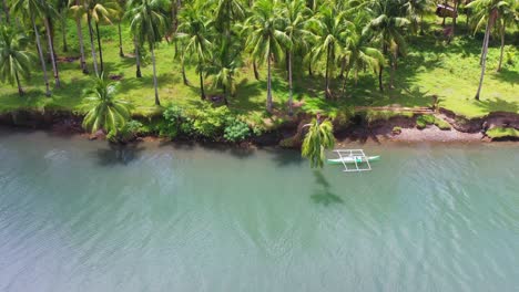 man waving on top of leaning coconut tree over calm river during summer in saint bernard, southern leyte, philippines