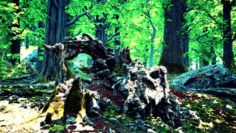 trunk and stone covered with a green moss