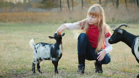 Cool-Girl-Gets-Confused-To-Treat-A-Kid-A-Large-Goat-Selects-A-Treat