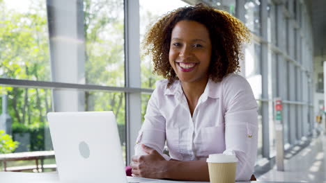 Portrait-Of-Businesswoman-Working-On-Laptop-In-Modern-Office