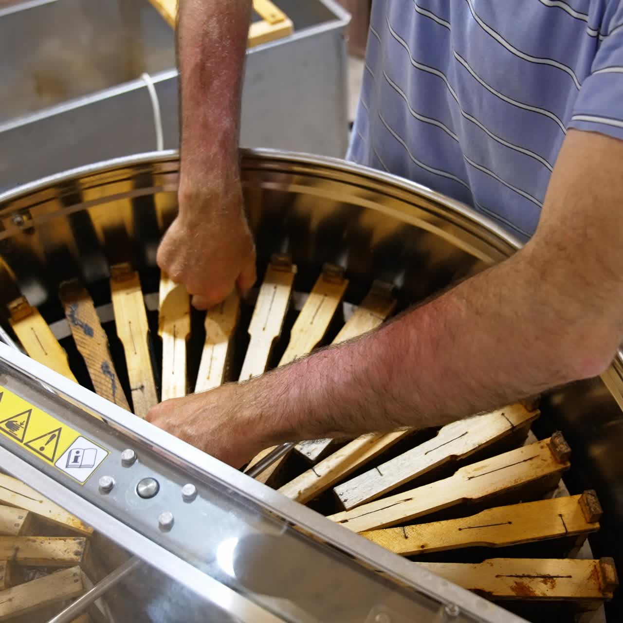 Man in T-shirt puts the honey frames into metal barrel. Apiarist turns the centrifuge inside the barrel to fill the empty places
