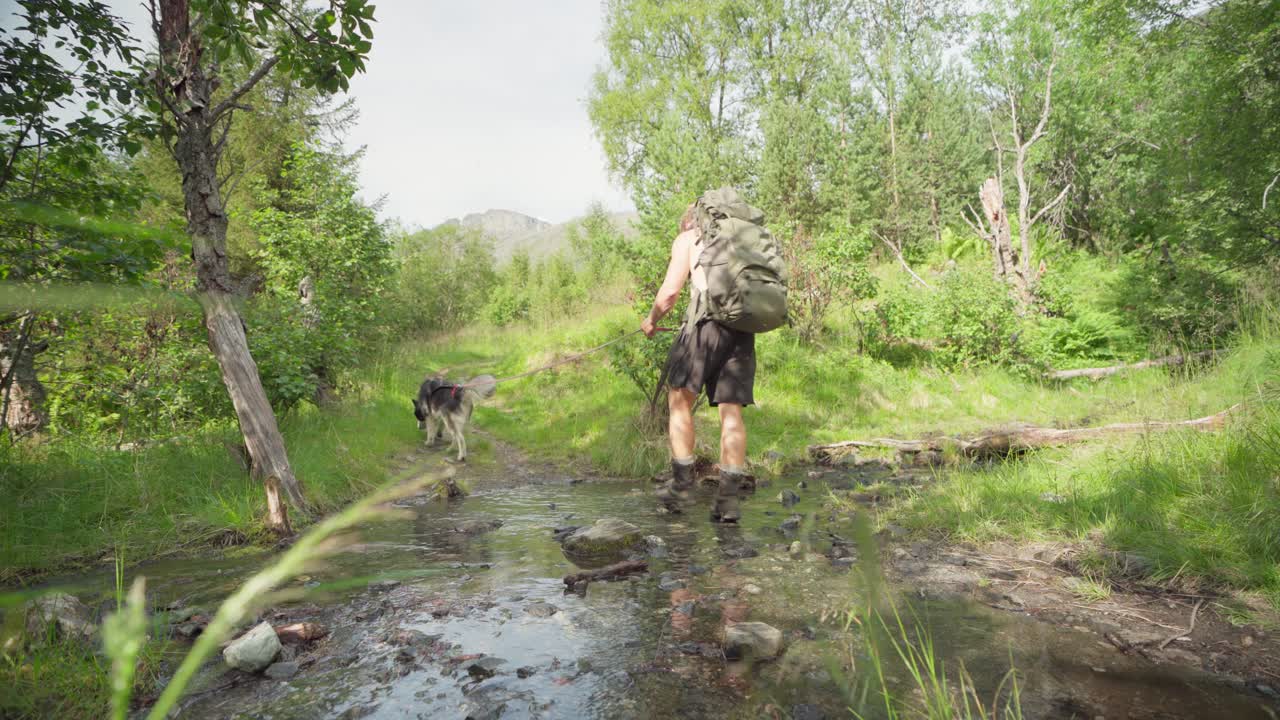Caucasiano Fazendo Trilha com Seu Cão, Atravessando Riacho em Floresta Densa de Lyngsdalen, Noruega.