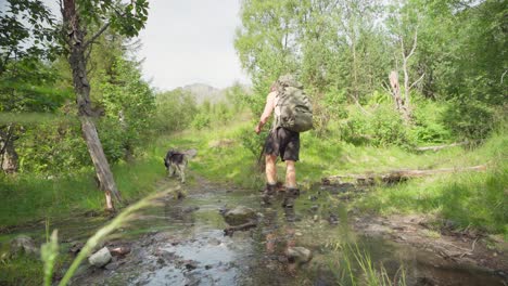 Kaukasischer-Wandert-Mit-Seinem-Hund-Am-Bach-Im-Dichten-Wald-Von-Lyngsdalen,-Norwegen