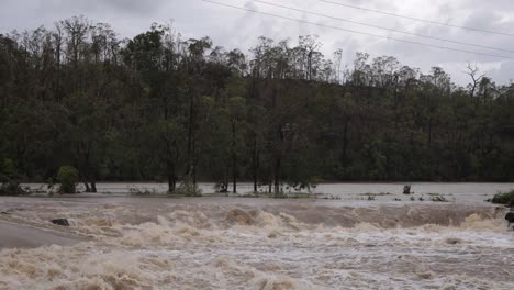 coomera, gold coast, 2 de enero de 2024 - árboles y agua turbulenta a través de la calzada del río coomera bajo las aguas de inundación de las tormentas de 2024 en enero