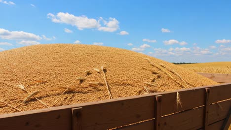 a bountiful harvest captured in stunning detail, showcasing the golden grains of wheat piled high in a wooden cart against a backdrop of a clear blue sky