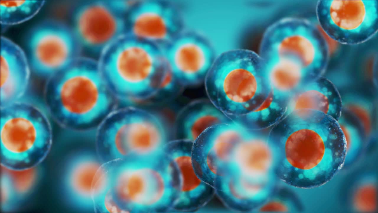 células dinámicas humanas. profundidad de campo