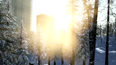 sity-and-forest-in-snow-at-sunrise