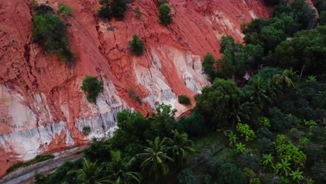 red and orange color sand dunes and green tropical forest with palm trees, aerial shot