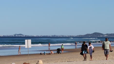 people and dogs enjoying a sunny beach day