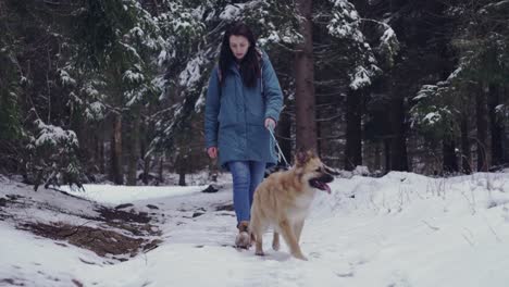 Female-and-dog-walking-in-winter-forest,-front-middle-shot-view