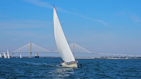 white blank sail boat sailing on a river in a windy day on cooper river, charleston