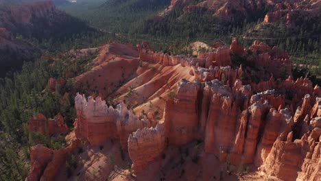 Excelente-Toma-Aérea-De-Pinos-Que-Salpican-Bryce-Canyon,-Utah