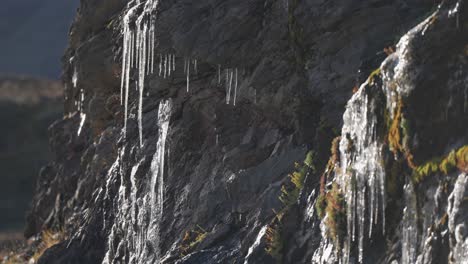 a filigree of melting icicles on the rocks