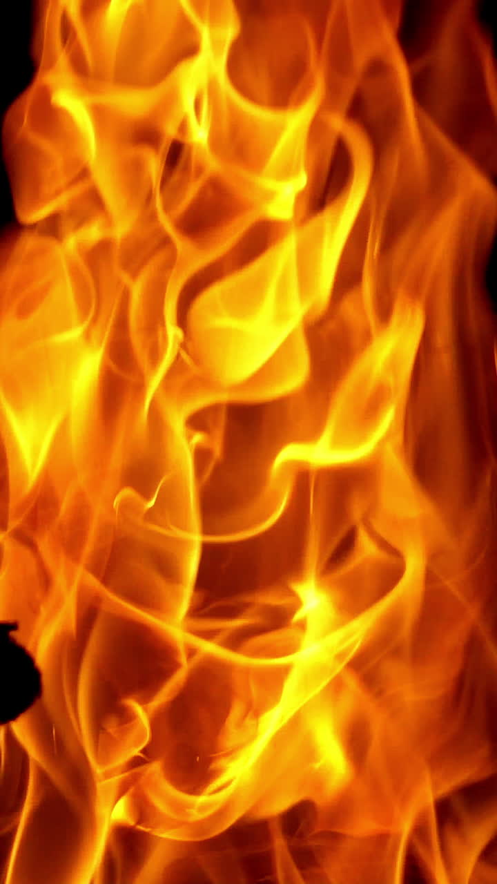 Campfire burning at night. Fire flame in slow motion. Concept of camping and active pastime. Vertical video