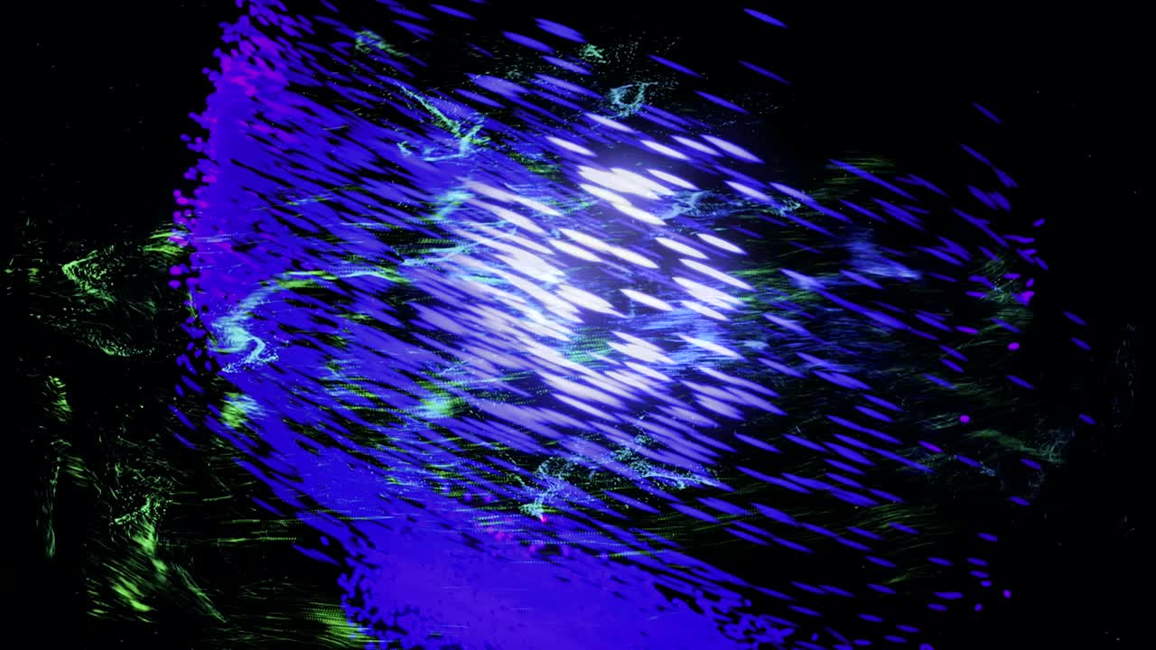 hermoso cometa abstracto siguiendo la trayectoria curva rodeado de polvo espacial verde aislado en fondo negro, bucle sin costuras. animación. colorido cometa púrpura moviéndose entre partículas verdes voladoras