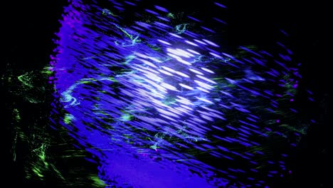 beautiful abstract comet following the curved trajectory surrounded by green space dust isolated on black background, seamless loop. animation. colorful purple comet moving among green flying particles