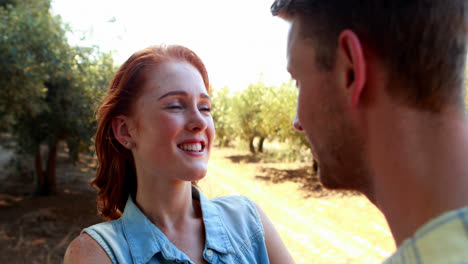 pareja feliz interactuando entre sí en una granja de olivos 4k