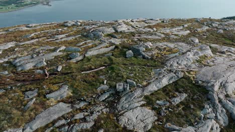 A-Man-Walking-his-Dog-in-the-Vicinity-of-Rissa-and-Hasselvika,-on-his-way-to-Blaheia-Mountain-in-Norway---Aerial-Panning