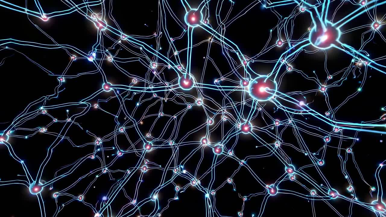 visualización de las redes neuronales