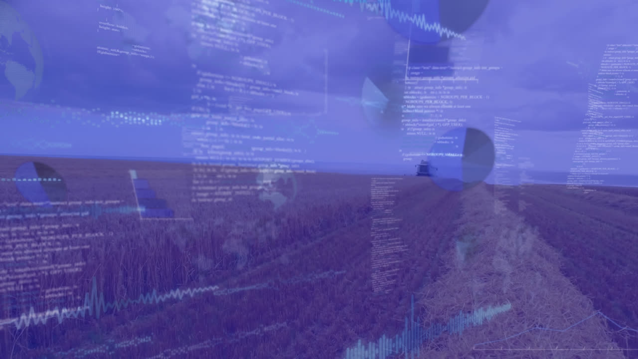 animación del procesamiento de datos en el campo