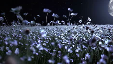 a field of flowers under the moonlight