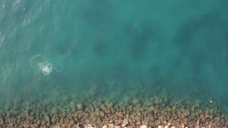 Una-Hermosa-Vista-Del-Mar-Azul-Y-El-Buzo