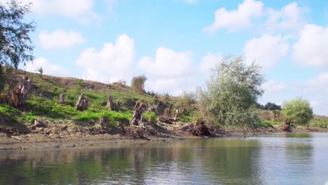 Willow-Trees-Grows-On-The-Riverbank-During-Summer-In-Tulcea,-Romania,-Europe---View-From-A-Speedboat---wide-shot