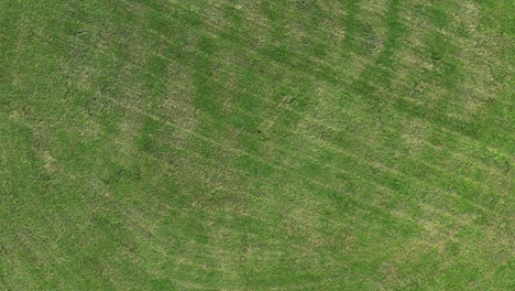 vista aérea de una rotonda con un centro cubierto de hierba