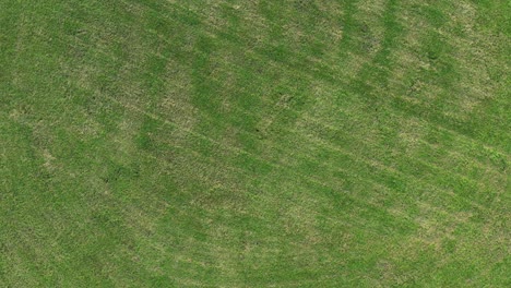 aerial view of a roundabout with a grassy center