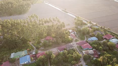 Aerial-evening-Malays-village-with-coconut-surround-at-Penaga,-Penang.