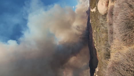 sale humo de un incendio forestal en california
