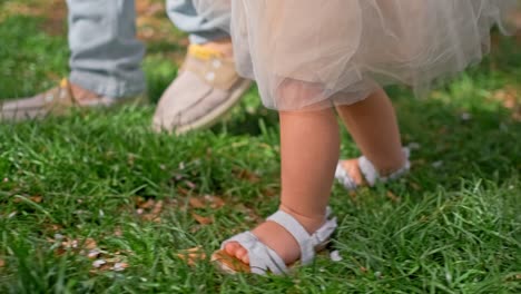 a little girls feet walking through the long grass in a park during a sunny day in washington dc in cherry blossom park