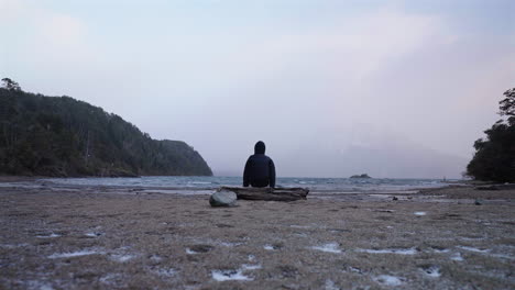 lonely person sitting on log seeking introspection on empty exotic beach