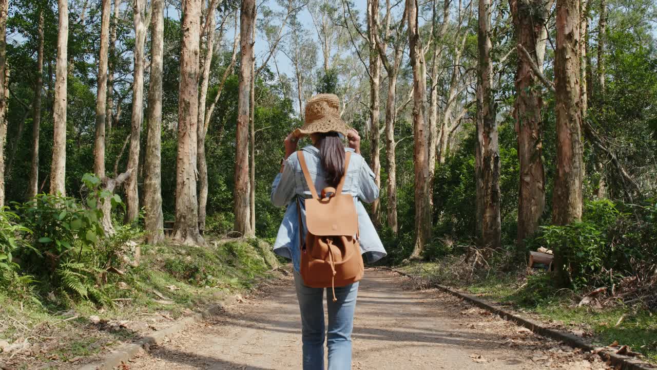 숲 한가운데의 긴 길