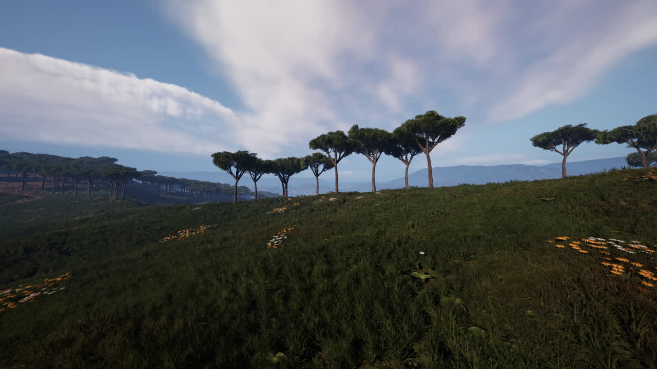 광대한 아프리카 풍경을  ⁇ 고 있는  ⁇  위를 날아다니며